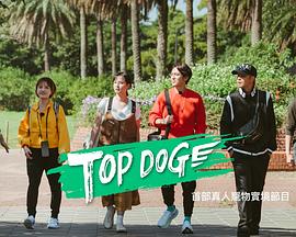 蜜豆视频《TOP DOG》免费在线观看