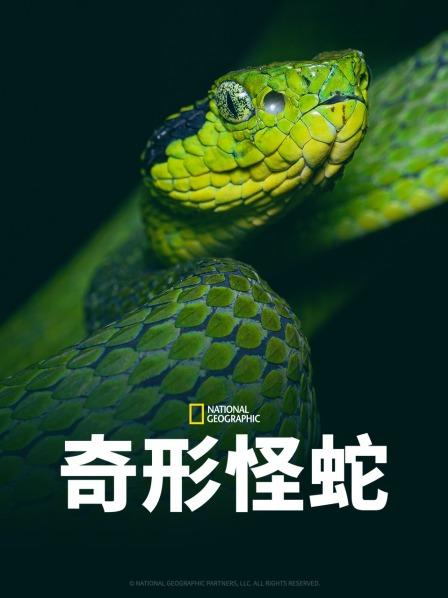 觅圈资源站《奇形怪蛇》免费在线观看